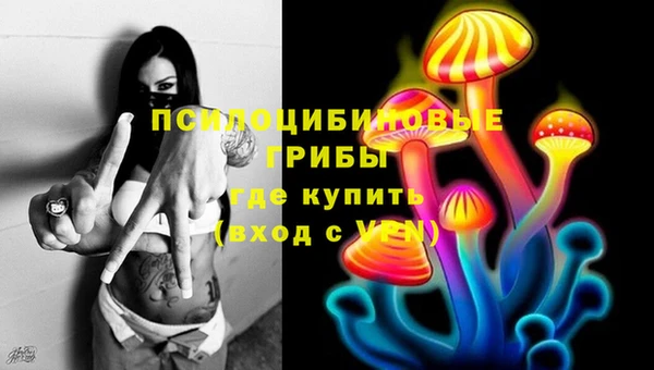 синтетический гашиш Алексин