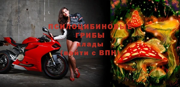эйфоретик Алзамай