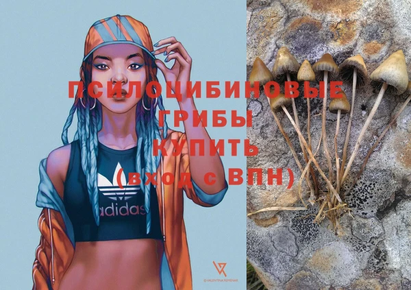 эйфоретик Алзамай