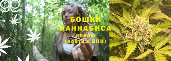 мдпв Михайлов