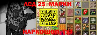 ПСИЛОЦИБИНОВЫЕ ГРИБЫ Аргун