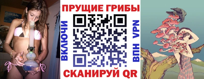 купить  цена  Ачинск  Псилоцибиновые грибы ЛСД 