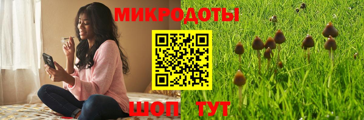 Ачинск  Псилоцибиновые грибы GOLDEN TEACHER  Галлюциногенные грибы прущие грибы  Вход с VPN 