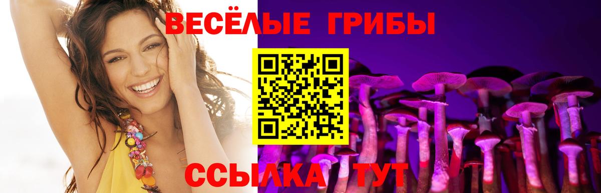 Галлюциногенные грибы GOLDEN TEACHER Ачинск